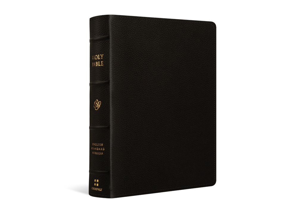 ESV Single Column Journaling Bible, Large Print (Buffalo Leather, Deep  Brown)