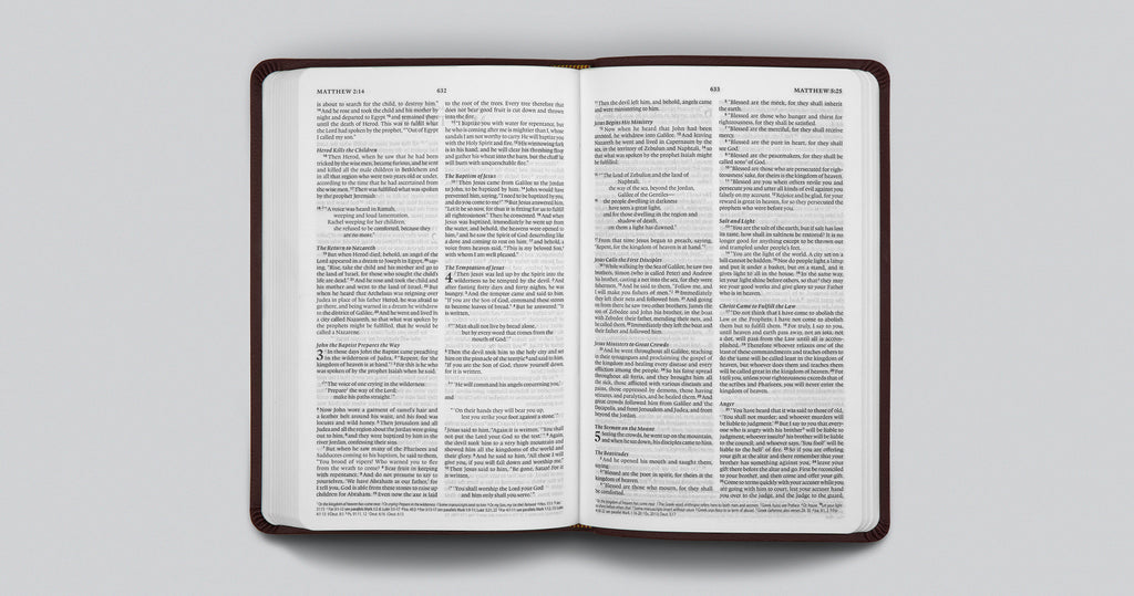 ESV Value Thinline Bible (TruTone, Chestnut, Filigree Design ...