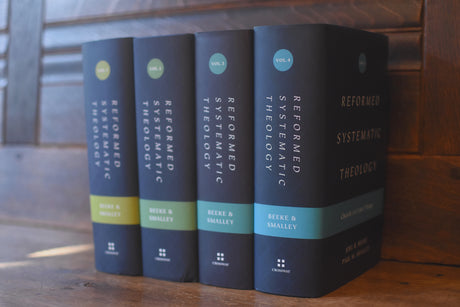 Reformed Systematic Theology