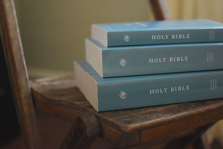 ESV Economy Bible Sale