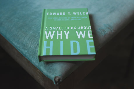 A Small Book About Why We Hide