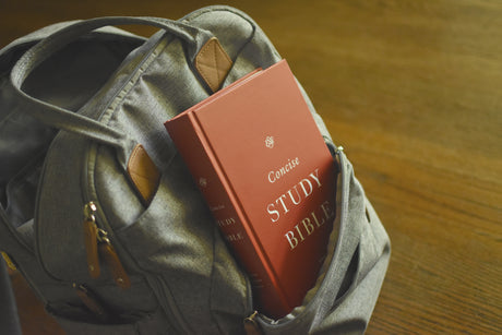 ESV Concise Study Bible