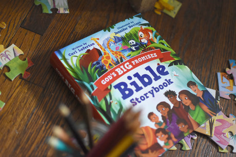 God's Big Promises Bible Storybook