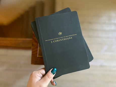 ESV Scripture Journal Sets & Case Quantities