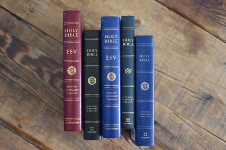 ESV December Sale