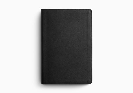 ESV Everyday Gospel Bible: Connecting Scripture to All of Life (Genuine Leather, Black)