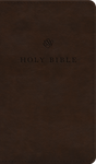 ESV Premium Church Bible (Trutone, Brown) - ESV - 9798874900045