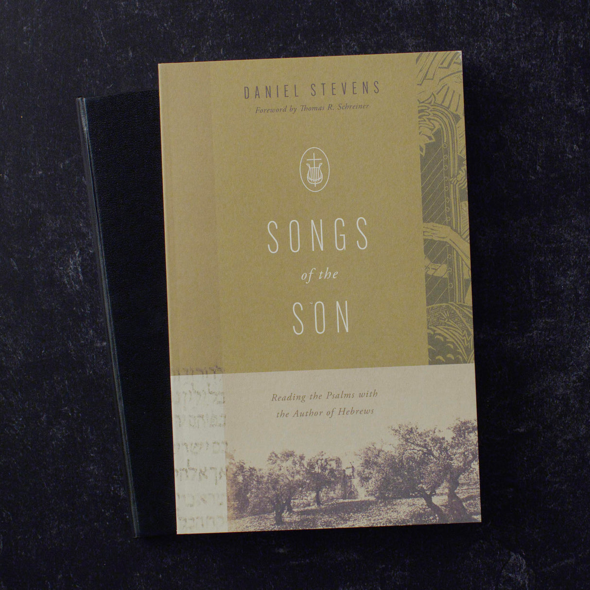 Songs of the Son: Reading the Psalms with the Author of Hebrews