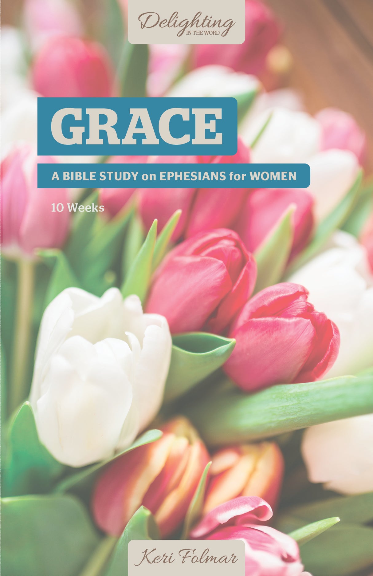 Grace: A Bible Study on Ephesians for Women Folmar, Keri cover image