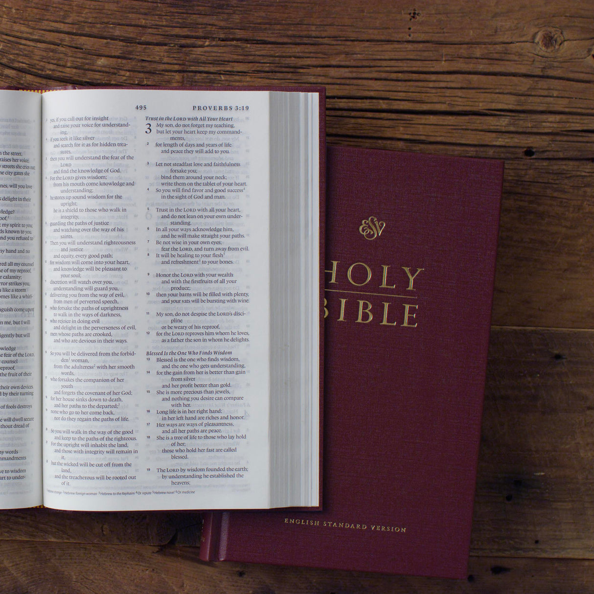 ESV Church Bible (Hardcover, Burgundy)