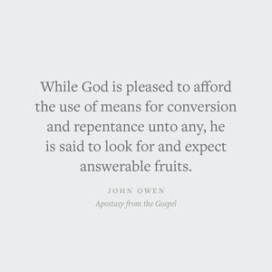 Apostasy from the Gospel (Volume 14) (Complete Works of John Owen)