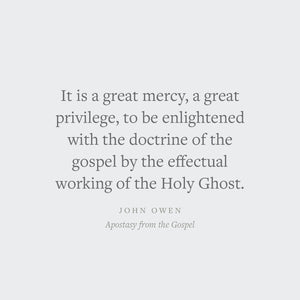 Apostasy from the Gospel (Volume 14) (Complete Works of John Owen)