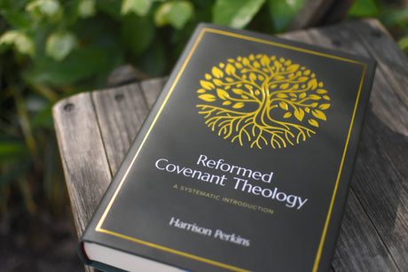 Reformed Covenant Theology: A Systematic Introduction