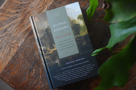 Ruined Sinners to Reclaim: Sin and Depravity in Historical, Biblical, Theological, and Pastoral Perspective