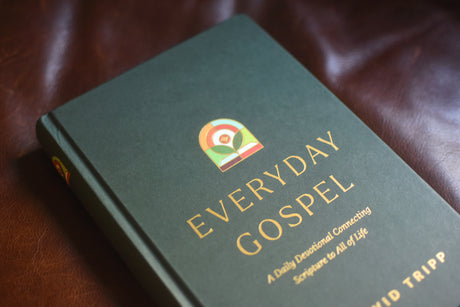 Everyday Gospel: A Daily Devotional Connecting Scripture to All of Life