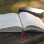 Everyday Gospel: A Daily Devotional Connecting Scripture to All of Life