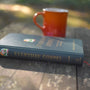 Everyday Gospel: A Daily Devotional Connecting Scripture to All of Life