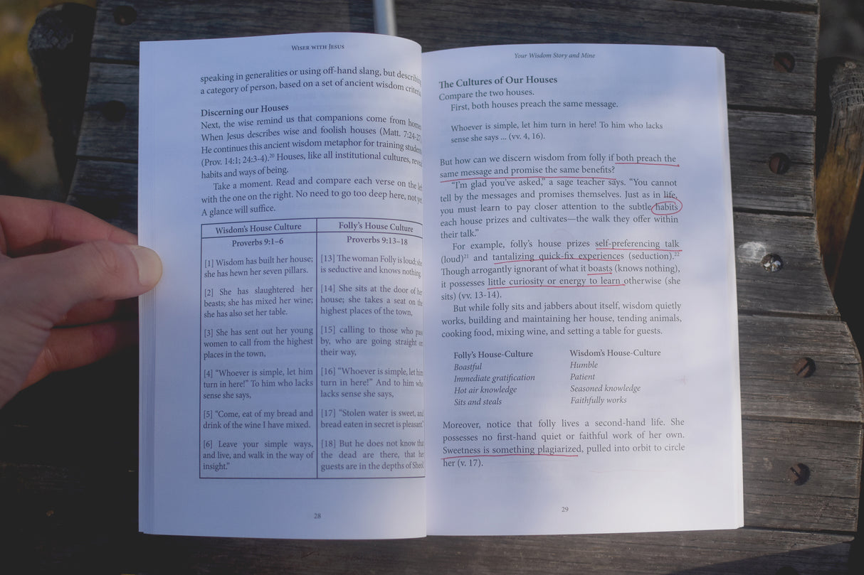 Wiser with Jesus: Overcoming the Temptations That Hinder Your Relationships, Steal Your Time, Mar Your Decision-Making and Thwart Your Purpose