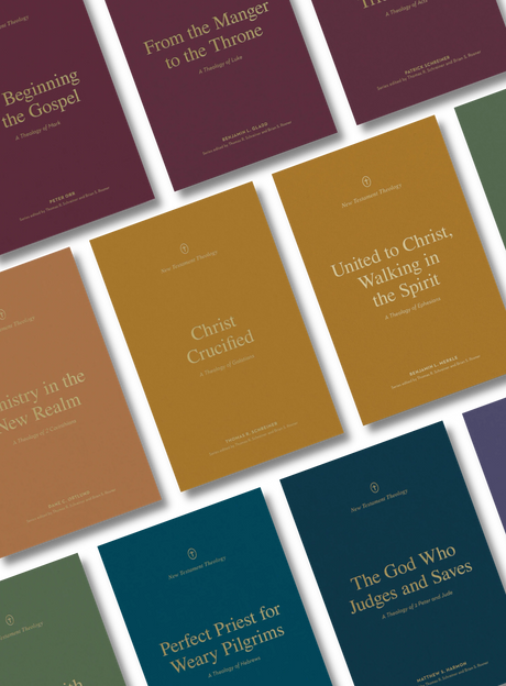 New Testament Theology Series Full Set Image