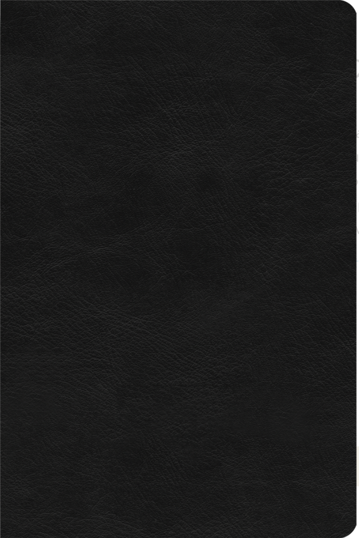 ESV Value Compact Bible (Trutone, Black) - ESV - 9781433582530