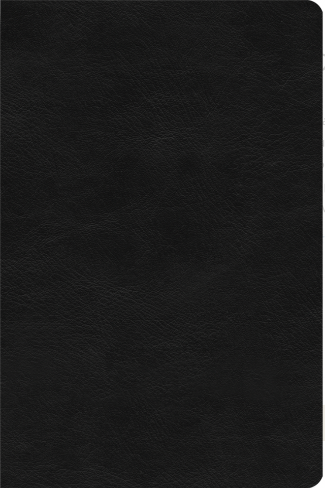 ESV Value Compact Bible (Trutone, Black) - ESV - 9781433582530