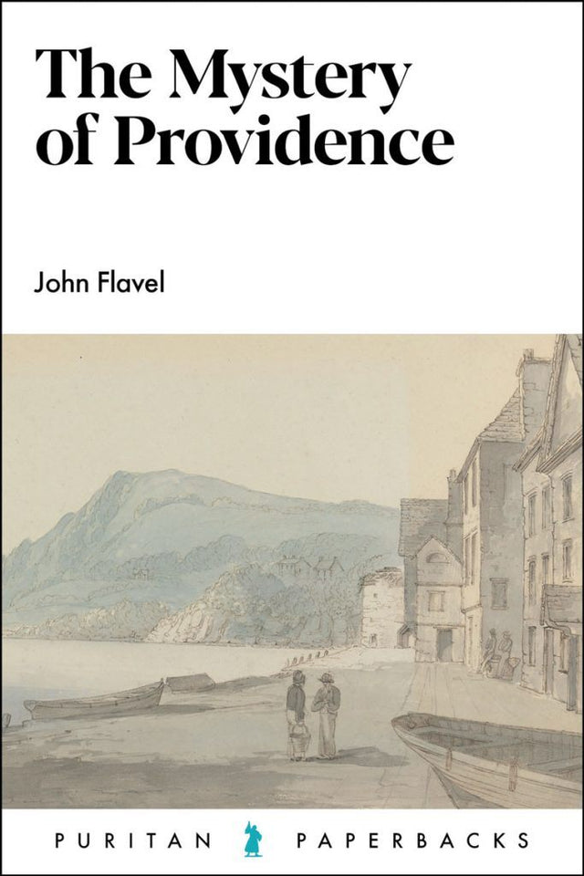 The Mystery of Providence (Puritan Paperbacks) - Flavel, John - 9781800402188