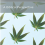 Recreational Drug Use: A Biblical Perspective - Svensson, Craig K - 9781645073208