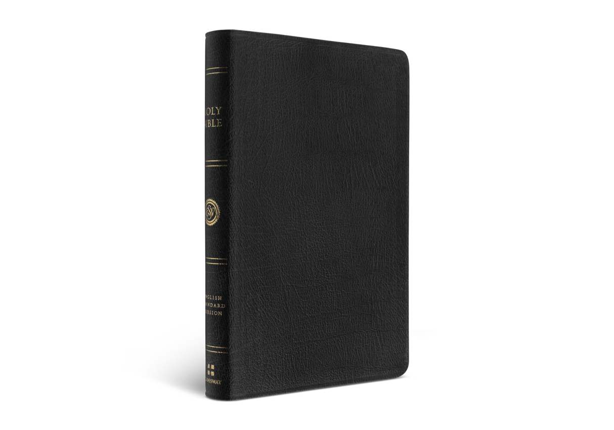 ESV Large Print Thinline Bible (Genuine Leather, Black) (1023795986479)