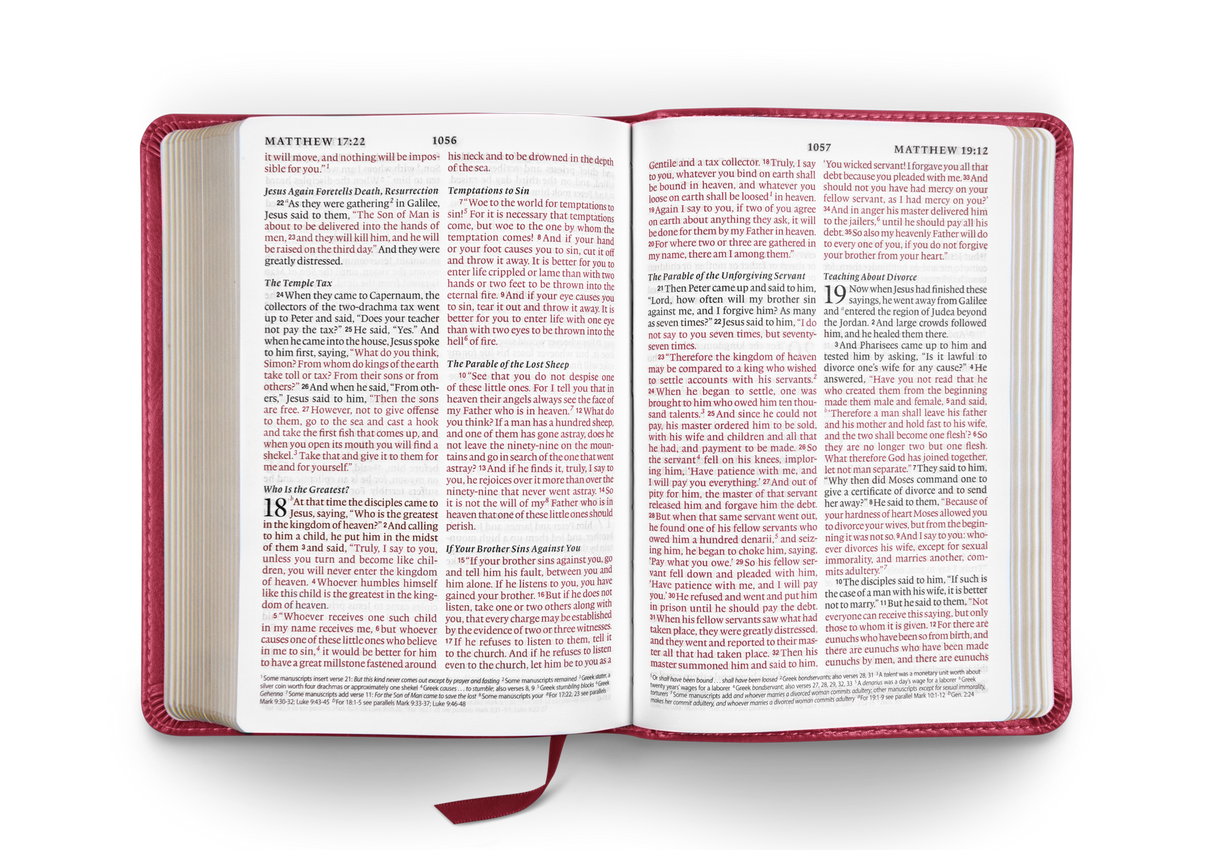 ESV Large Print Compact Bible (TruTone Berry, Floral Design)