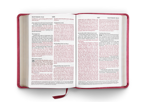 ESV Large Print Compact Bible (TruTone Berry, Floral Design)