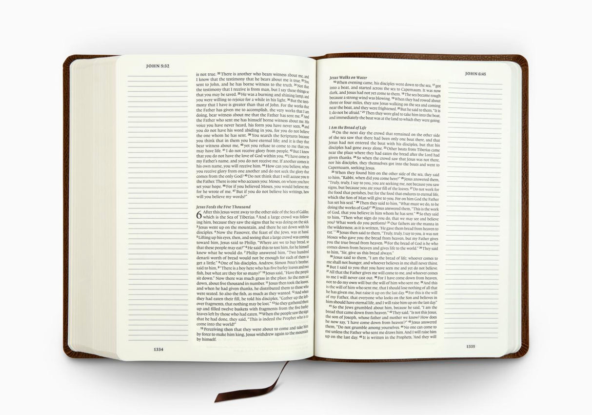 ESV Single Column Journaling Bible, Large Print (Bonded Leather, Mocha) (1023790317615)