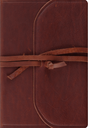 ESV Student Study Bible (Natural Leather, Brown, Flap with Strap) - English Standard - 9781433588549