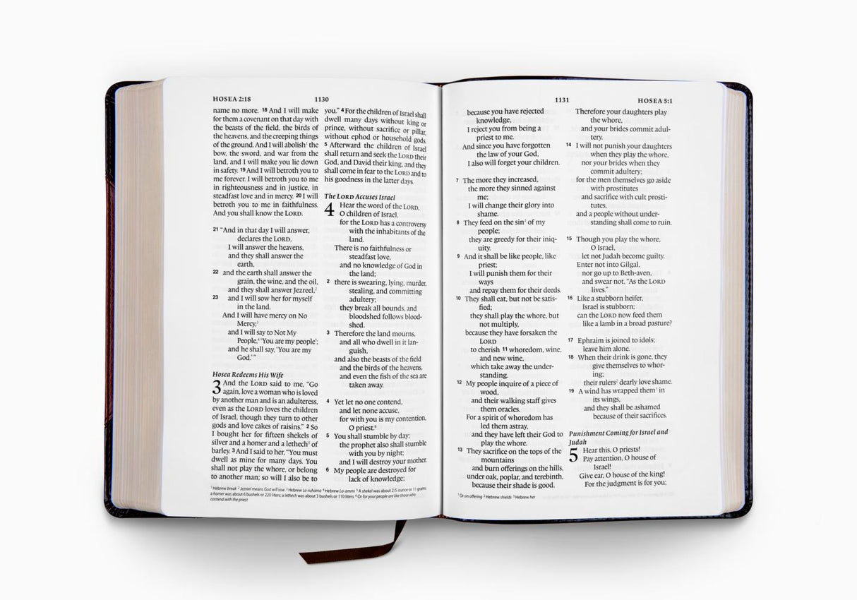 ESV Large Print Wide Margin Bible (TruTone, Brown/Cordovan, Portfolio Design)