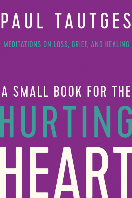 A Small Book for the Hurting Heart: Meditations on Loss, Grief, and Healing - Tautges, Paul - 9781645070443