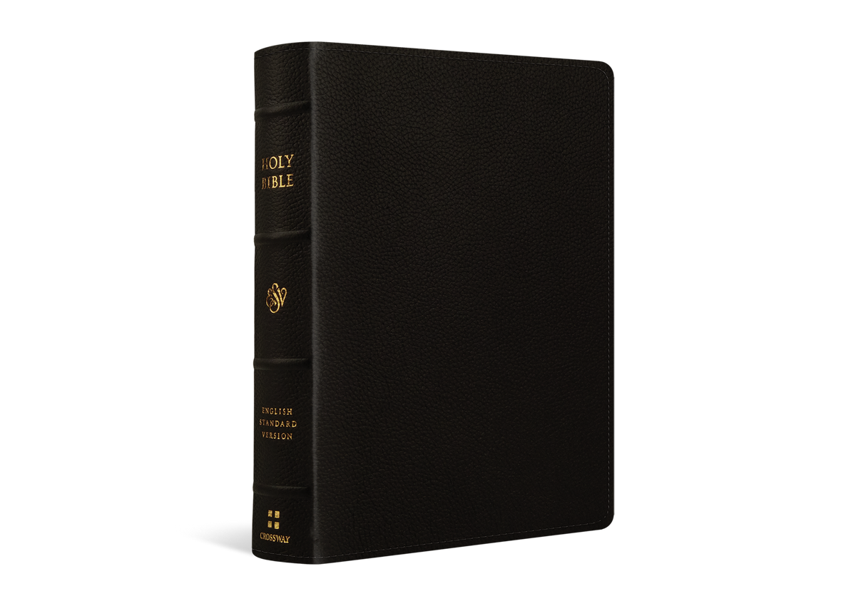 ESV Single Column Journaling Bible, Large Print (Buffalo Leather, Deep Brown)