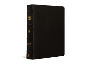 ESV Single Column Journaling Bible, Large Print (Buffalo Leather, Deep Brown)