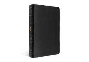 ESV Large Print Personal Size Bible (Genuine Leather, Black)