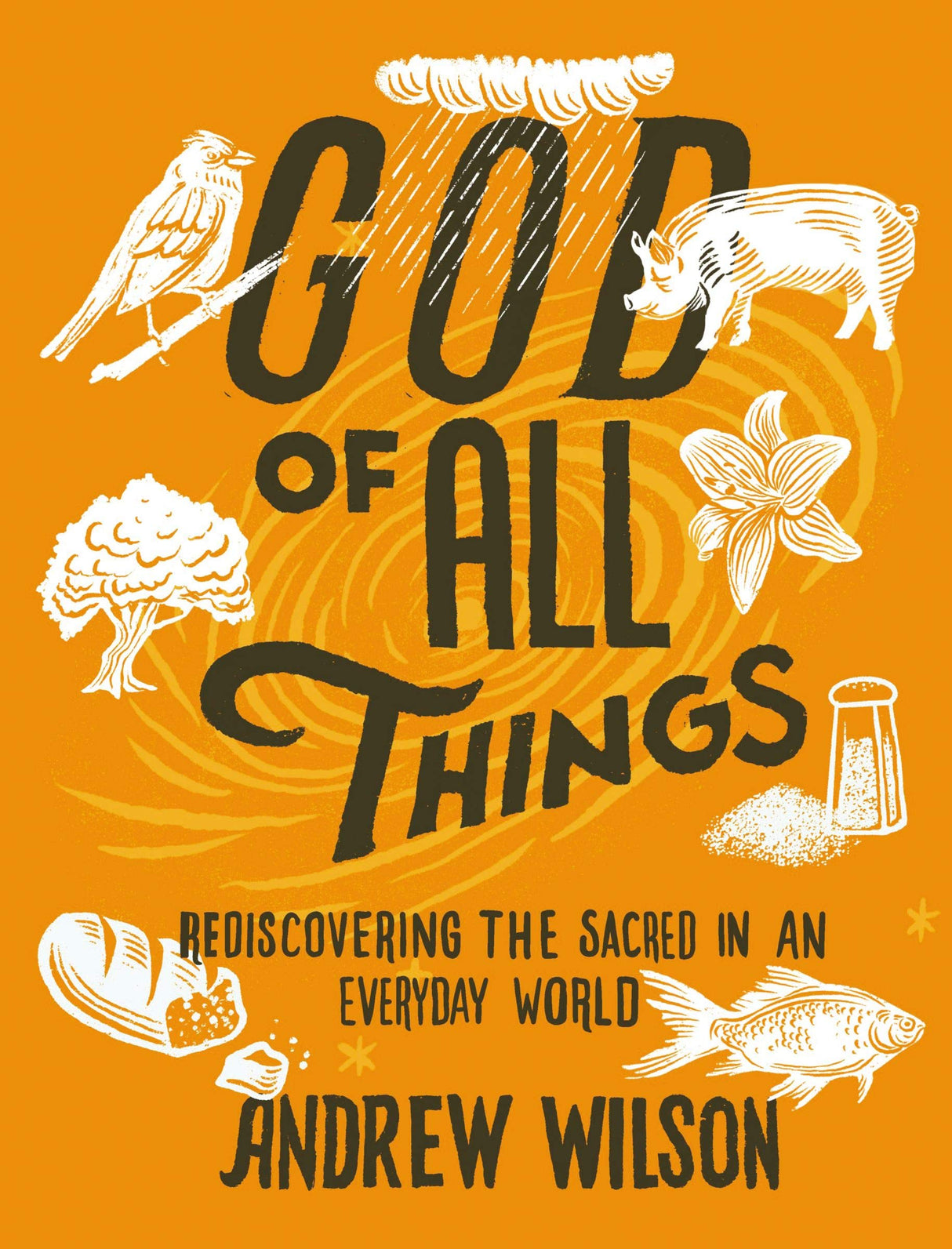 God of All Things: Rediscovering the Sacred in an Everyday World - Wilson, Andrew - 9780310109082