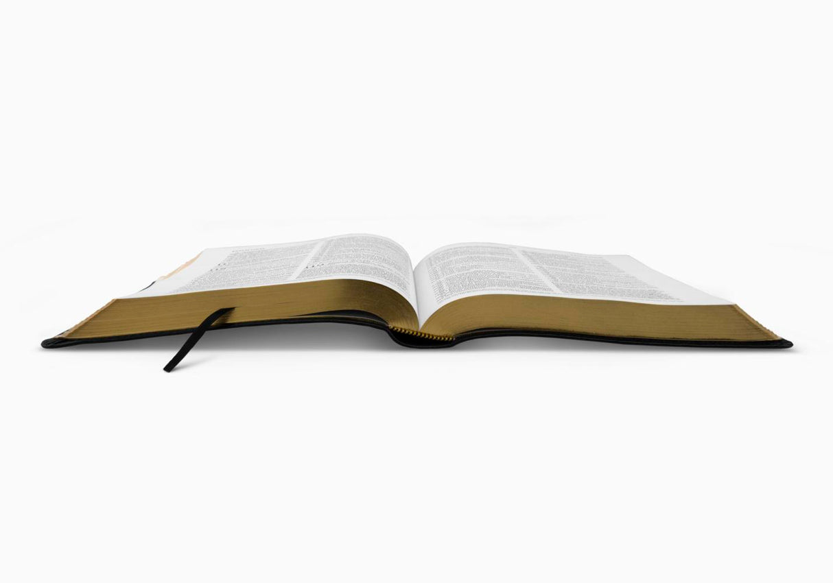 ESV Verse-By-Verse Reference Bible (Trutone, Black)