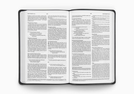 ESV Value Thinline Bible (TruTone, Charcoal, Celtic Cross Design) (1023778619439)