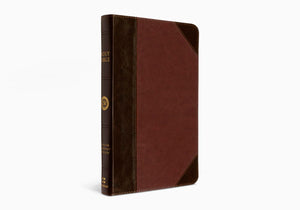 ESV Bible, Thinline TruTone Edition (Brown/Cordovan, Portfolio Design)