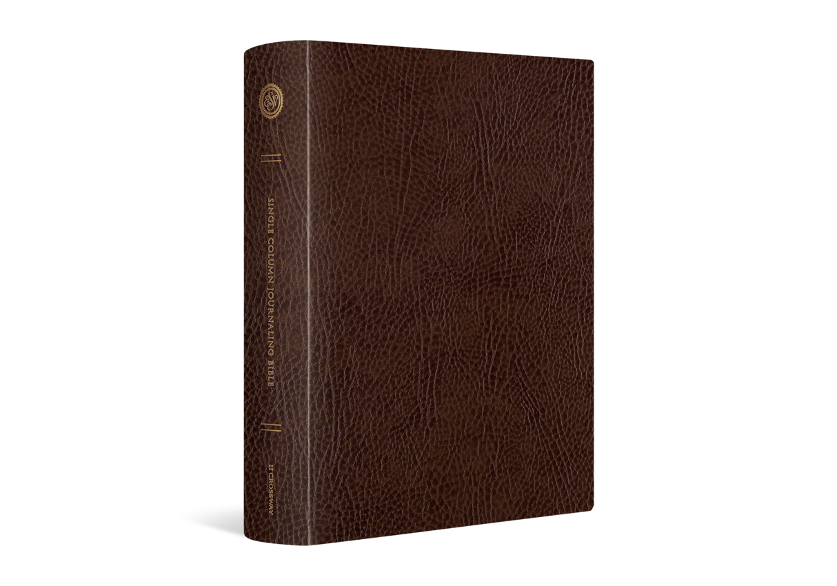 ESV Single Column Journaling Bible, Large Print (Bonded Leather, Mocha) (1023790317615)