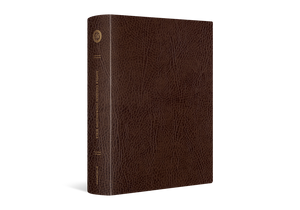 ESV Single Column Journaling Bible, Large Print (Bonded Leather, Mocha) (1023790317615)