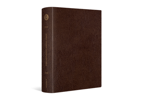 ESV Single Column Journaling Bible, Large Print (Bonded Leather, Mocha) (1023790317615)