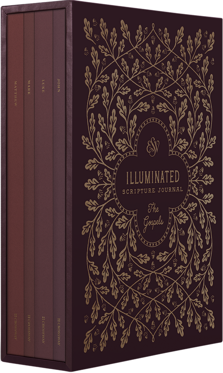 ESV Illuminated Scripture Journal: Gospels Set - ESV - 9781433570889