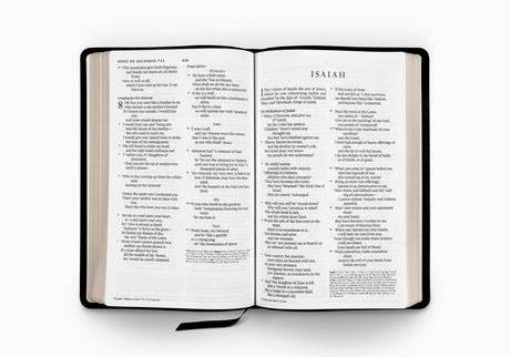 ESV Large Print Thinline Reference Bible (Genuine Leather, Black)