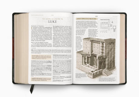 ESV Study Bible (TruTone, Forest/Tan, Trail Design) (1023687557167)