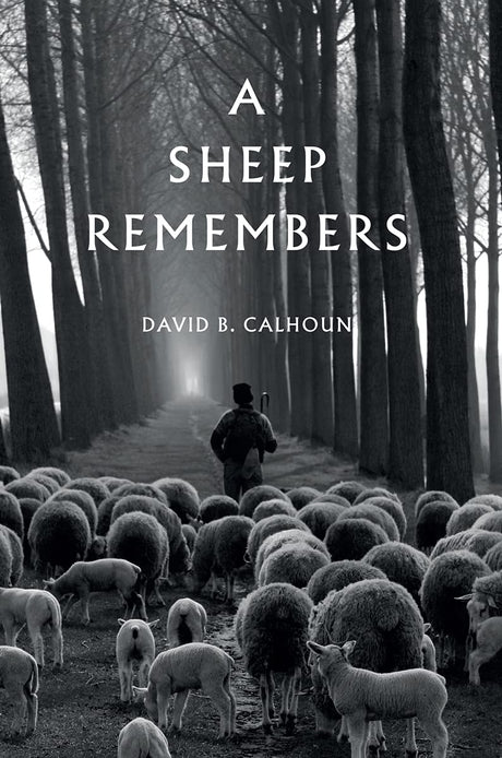 A Sheep Remembers - Calhoun, David - 9781800400795