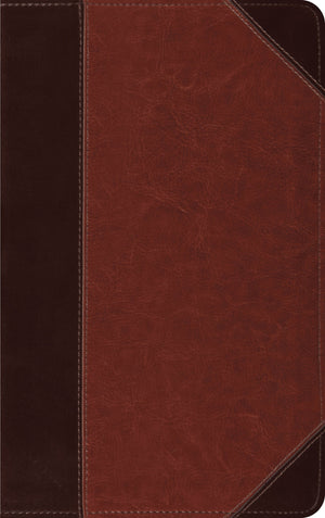 ESV Bible, Thinline TruTone Edition (Brown/Cordovan, Portfolio Design) cover image