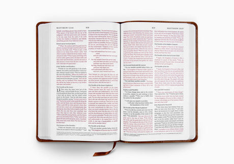 ESV Thinline Bible (TruTone, Royal Lion)